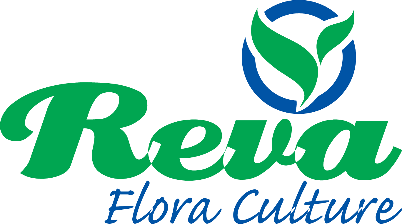 Reva Flora