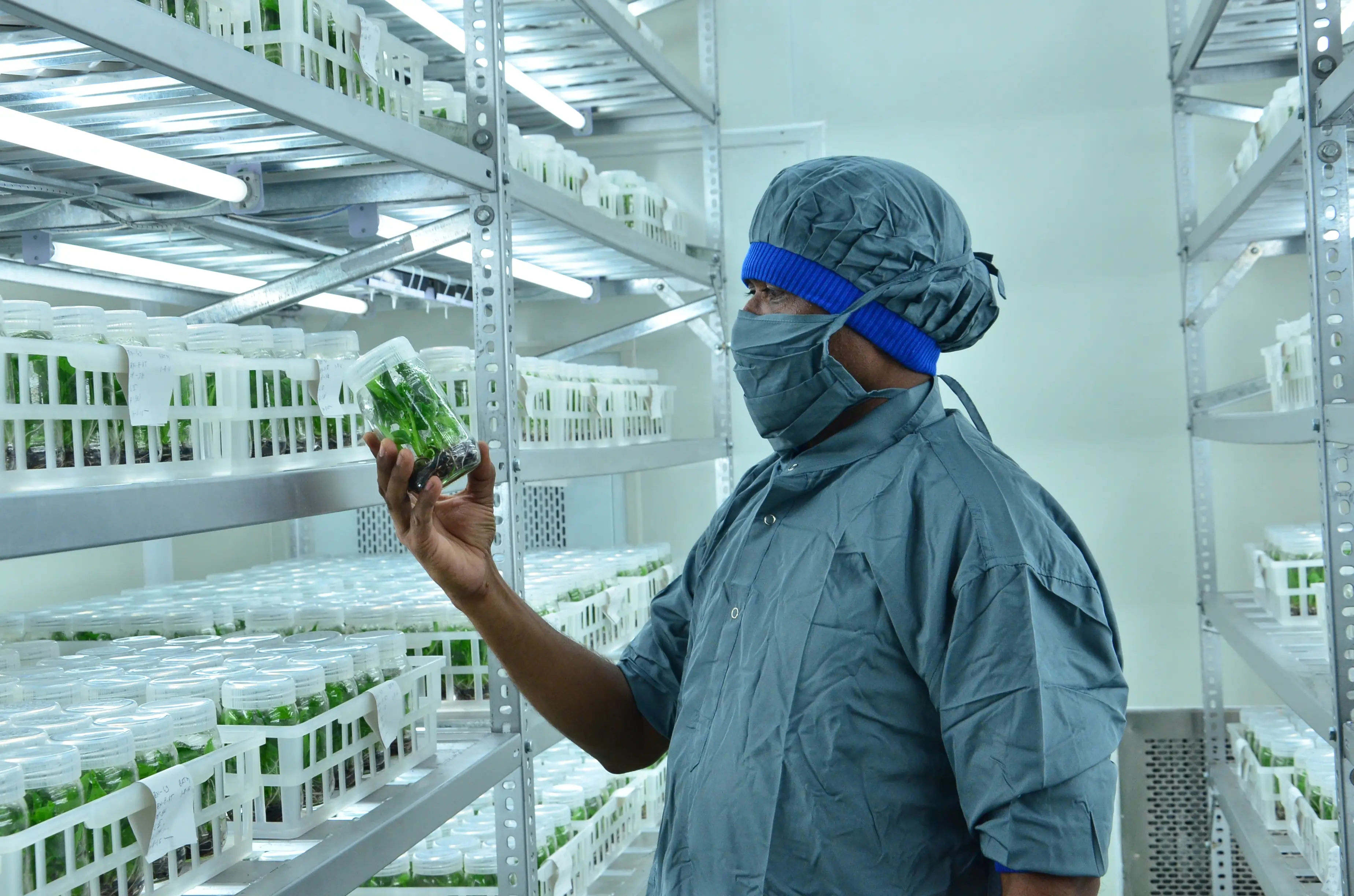 Precision Farming & Tissue Culture