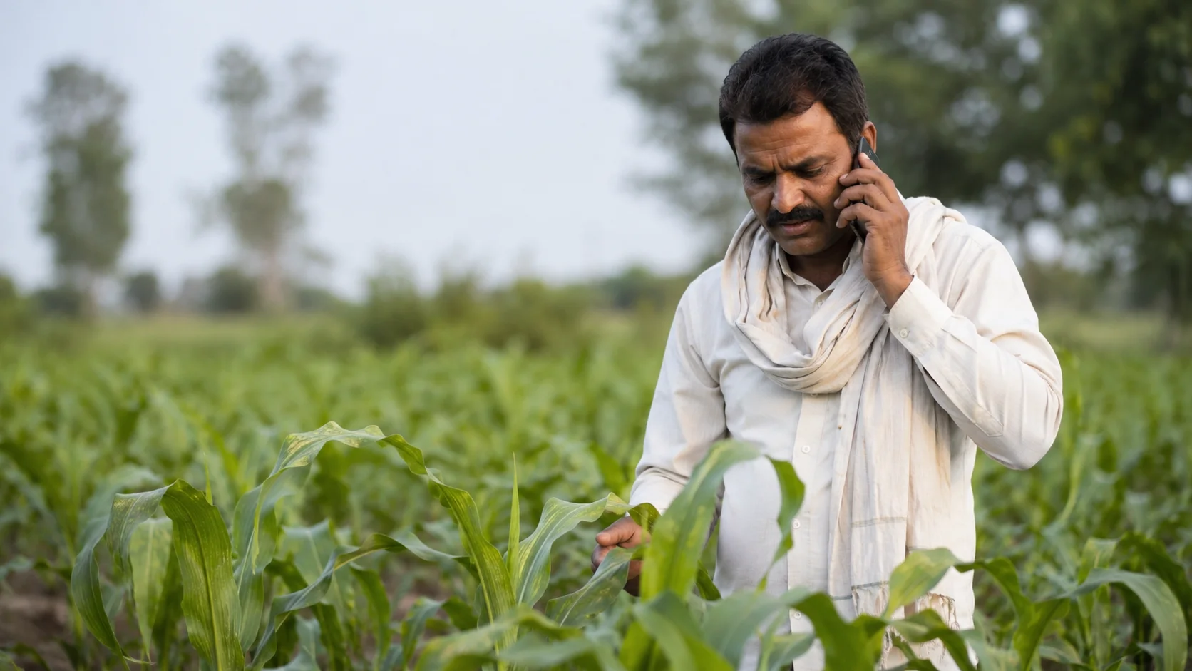 Farmer talking on phone in a field, connected via the Farmkart platform
